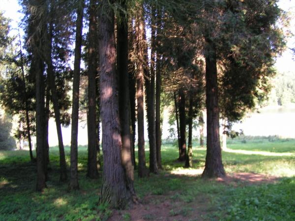 pict3730 (web)